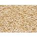 Biojoy Organic Quinoa Seeds (1 kg) - Raw & Whole Chenopodium Quinoa for International Shipping - Buy Online on GoSupps.com