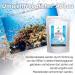 Sango Sea Coral Powder Calcium & Magnesium 250g - Optimal 2:1 Ratio for Enhanced Health | Free International Shipping - Buy Online on GoSupps.com