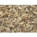 Yupik Raw Sunflower Seeds (No Shell) 1Kg (Packaging May Vary) & Shelled Pumpkin Seeds (Raw) No Shell Not Roasted 0.45Kg 1 kg (Pack of 1) Raw Sunflower Seeds+ Pumpkin Seeds - Buy Online on GoSupps.com