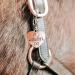 Soulhorse Exclusive Bridle Pendant - Lucky Charm for Horses Ponies & Dogs | Rose Gold Heart Brand Accessories - Buy Online on GoSupps.com
