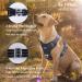 Funfox Medium Dog Harness with Reflective Strips | No-Pull Adjustable Vest for Easy Walking | Front Clip Control | Ideal for Large Breeds | Stop Pulling | Black (Neck 37-50cm, Chest 40-68cm) - Buy Online on GoSupps.com