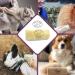 Sleekez Grooming Comb for Cats Dogs & Horses 25.4 cm | Best Pet Grooming Tool for All Breeds International Shipping Available - Buy Online on GoSupps.com