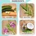 Cucumber Face Wash - Hydrating Cleanser with Vitamin B3 & White Willow | Sulfate-Free Vegan 8 fl oz - Shop Internationally - Buy Online on GoSupps.com