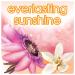 Suave Everlasting Sunshine Anti-Perspirant Deodorant 2.6oz, Pack of 4 - Buy Online on GoSupps.com