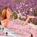 Essences Bulgaria Bio Real Bulgarian Rose Oil 3ml | 100% Natural & Vegan | Undiluted Rosa Damascena | Bio-Certified | Top Quality Family Business - Buy Online on GoSupps.com