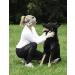 $averPak BodyForge InsectGuard Repellent Bandanna - Permethrin Treated Paisley Headband Scarf for Mosquitoes, Flies, Ticks - Black/White - Buy Online on GoSupps.com