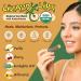 Lizard Lips Organic Lip Balm 4 Pack - USDA Certified, Unflavored - Buy Online on GoSupps.com