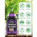 TNVitamins Organic Flaxseed Oil Softgels 2000mg x 90 - High Omega-3 | Women & Men | Non-GMO - Buy Online on GoSupps.com