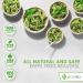 Ecovita 100% Compostable Paper Bowls 12 oz - 150 Count | Eco Friendly & Sturdy | Tree Free, Liquid & Heat Resistant | Plastic & Paper Bowl Alternative - Buy Online on GoSupps.com