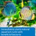 API Quick Start Nitrifying Bacteria â€“ Freshwater & Saltwater Aquarium Starter - Buy Online on GoSupps.com