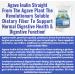 Organic Inulin Powder (48oz/3 lbs) Gentle Agave Prebiotic Soluble Fiber Supplement for Digestive Support Gut Health Vegan Baking Smoothies & Drinks 48 Ounce - Buy Online on GoSupps.com