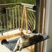Cat Window Hammock Perch Bed for Large Cats | Upgraded Suction Cups | Black - Buy Online on GoSupps.com