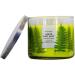 Buy White Barn 3-Wick Candle with Essential Oils - Lemon Mint Leaf - 14.5 oz - Spring 2021 Scents - International Shipping Available - Buy Online on GoSupps.com