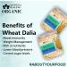 Blessfull Healing Organice Wheat Dalia for Breakfast 1 lb (453 Gram) - Buy Online on GoSupps.com