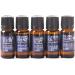 Mystic Moments Carrier Oil Set - 10x10ml | Premium Quality Aromatherapy Oils for International Shipping - Buy Online on GoSupps.com
