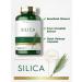 Silica Supplement Capsules - 200 Count Horsetail Extract, Non-GMO & Gluten Free by Carlyle - Buy Online on GoSupps.com