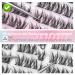 JIMIRE Self Adhesive Eyelashes - Natural Look 11-13MM Wispy Anime Lash Clusters | Reusable & Quick to Wear Eyelash Art - Buy Online on GoSupps.com