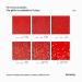 Hemway Ultra-Schein-Glitter 1/256 - Red Microfine Cosmetic Safe Glitter 100g | International Shipping - Buy Online on GoSupps.com