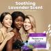 Massey's 100% Natural Lavender Probiotic Soap - 4oz (Pack of 3) - Buy Online on GoSupps.com