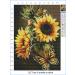 Sunflower Butterfly Cross Stitch Kit - Beginner-friendly Needlepoint Embroidery Kit (11CT) - Arts and Crafts - Buy Online on GoSupps.com