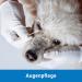 Kosmetex 250x Dog & Cat Ear Cleaning Swabs - Wide Cotton Head Cotton Tips for Effective Pet Hygiene - Buy Online on GoSupps.com