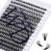 Individual Lashes 300PCS Cluster Lashes Extension DD Curl 40D 0.07mm 8-16mm Mixed Lash Clusters Wide Stem Individual Eyelashes Clusters DIY Eyelashes Extensions at Home(Cluster-40D-0.07-DD-MIX8-16) RR-8-16mm Cluster Lashes-40D-0.07-DD