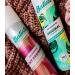 Batiste Dry Shampoo 2 Pack - Original and Cozy Cashmere Fragrance - 8.46 OZ Waterless Shampoo for Hair Texture and Oil Absorption - Buy Online on GoSupps.com