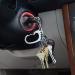 Nite IZE KLKBF-11-R6 BIGFOOT Loose Keyrack - Secure Stainless Steel Locking Carabiner Key Holder for Unisex | Shop Internationally - Buy Online on GoSupps.com