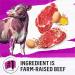 Beyond Simply Natural Dry Dog Food Farm-Raised Beef Barley & Free Run Egg - 5 kg Bag 5 kg (Pack of 1) - Buy Online on GoSupps.com