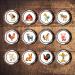 PRECUT Farm Animal Cupcake Toppers Petting Zoo Edible Mini Cake Decorations Edible Woodland Animals Party Decorations Farmer Cupcake Decoration Farm Animal Cake Topper (48) - Buy Online on GoSupps.com