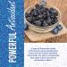 Bulk Dried Blueberries - Unsweetened, Non-GMO, 1 lb - Whole Dry Blue Berries - Dehydrated & All Natural - Buy Online on GoSupps.com