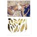 Terra Tattoos Gold Metallic Temporary Tats - 75+ Boho Henna Designs with Feathers, Tribal Elephants - Waterproof, Nontoxic, Long Lasting - Ideal for Beach, Festivals & More! - Buy Online on GoSupps.com