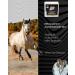 HOOFGOLD Hornpad for Horses - 10 Pads for Effective Thrush and Frog Care | International Shipping - Buy Online on GoSupps.com