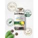 Carlyle Oregano Oil Gummies 3000mg 120 Count Natural Mango Flavor Vegan Non-GMO Gluten Free Traditional Herb Supplement - Buy Online on GoSupps.com