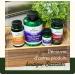 Swanson Vitamin B12 Cyanocobalamin 500mcg 250 Capsules High Dosed Soy Free Gluten Free Non-GMO - Buy Online on GoSupps.com