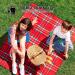 Jutom 12 Pcs Camping Foam Pads - Waterproof EVA Seat Cushion for Hiking, Mountaineering, and Hunting - Buy Online on GoSupps.com