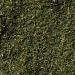 McCormick Organic Dill Weed 0.5 oz - Premium Quality Culinary Herb - Buy Online on GoSupps.com