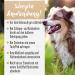Alphazoo Anti-Ear Mite Oil for Dogs & Cats - 100ml | Effective Ear Drops for Ear Mites & Ear Rust | Gentle Natural Ear Care - Buy Online on GoSupps.com