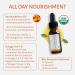 Sea Buckthorn Oil for Skin Health | Anti-Aging Facial Oil | Moisturizing Face Oil for Bites & Burns | 15ml (0.5 Fl Oz - Buy Online on GoSupps.com