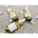 Soft Petalz Lavender Face & Body Oil | Nourishing Skincare for All Skin Types | International Shipping Available - Buy Online on GoSupps.com