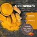 Healthspan Opti-Turmeric Liquid Curcumin 500mg | Supports Cartilage Formation & Immune Health | 60 Capsules | High Absorption Formula - Buy Online on GoSupps.com
