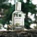 Skylar Willow Eau De Toilette 1.7 oz Perfume - Buy Online on GoSupps.com