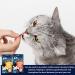 Felix Soup Cat Food Bundle Containing Farm and Fish Selection 48g x24 | Cat Treats 60g x2 | Silvervine Sticks - Buy Online on GoSupps.com