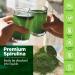 Synergy Natural Organic Spirulina Powder 200g - Pure Superfood Supplement - Buy Online on GoSupps.com