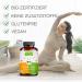 Organic Raibu Turmeric Barley Grass Capsules - Vegan 270x700mg | Additive-Free Curcuma 2:1 Formula | Premium Quality Made in Germany - Buy Online on GoSupps.com
