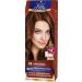 Schwarzkopf Poly Colour Cream Hair Colour 38 Hazelnut 115 ml
