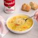 Campbells Homestyle Chicken Noodle Soup 10.5oz (Pack of 12) - Packaging May Vary - Buy Online on GoSupps.com