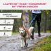 LASALINE Canicross Belt & Dog Trekking Belt - Adjustable Black & Light Blue for Hands-Free Dog Walking - Buy Online on GoSupps.com