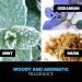 Adidas Ice Dive By Adidas Men Fragrance - Buy Online on GoSupps.com