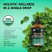USDA Organic Oil of Oregano Drops - Immune Support & Antioxidant - Made in USA Non-GMO Vegan 1 fl oz - Buy Online on GoSupps.com